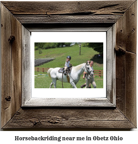 horseback riding near me in Obetz, Ohio